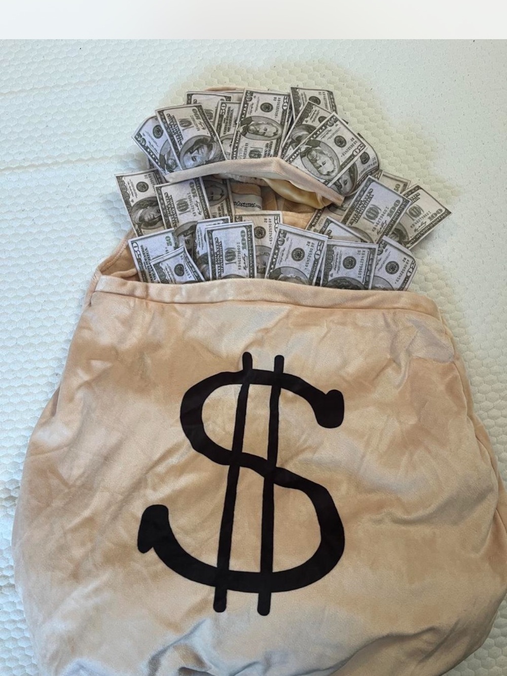 Kids 4t Beige Dollar Sign Money Bag Costume